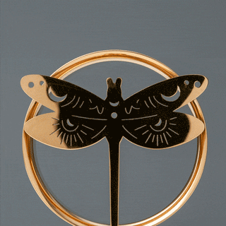 Dragonfly Steel Tunnels