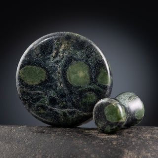 Kambaba Jasper Plugs
