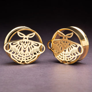 Stainless Steel Death's Head Moth Tunnels