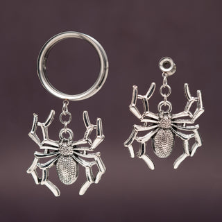 Stainless Steel Tunnels with Spider