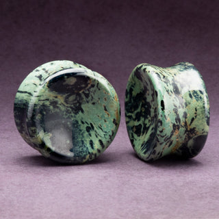 Kambaba Jasper Concave Plugs