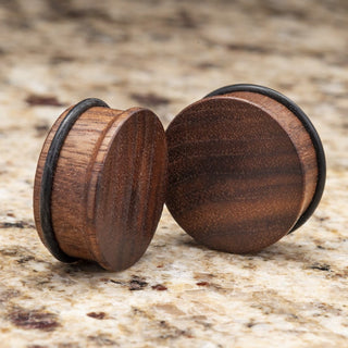 Black Walnut Wood Single Flare Plugs