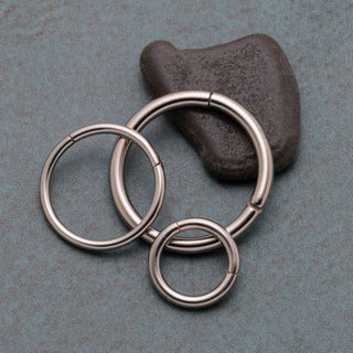 Titanium Hinged Segment Ring