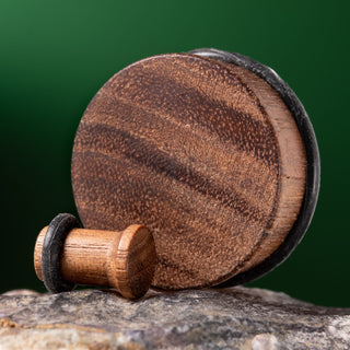 Black Walnut Wood Single Flare Plugs