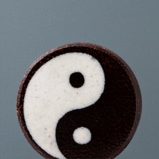 Yin Yang Wood Plugs