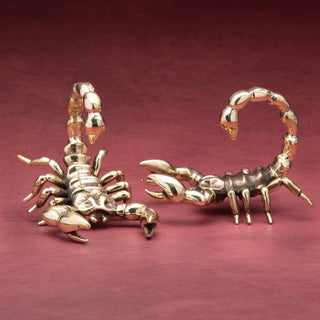 Scorpion Brass Weights